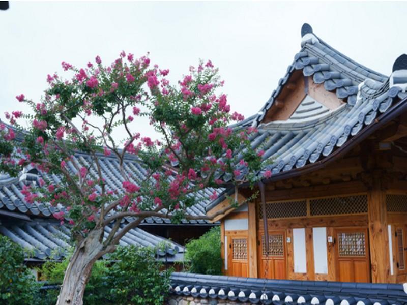 Dajeong Pensión Jeonju Exterior foto